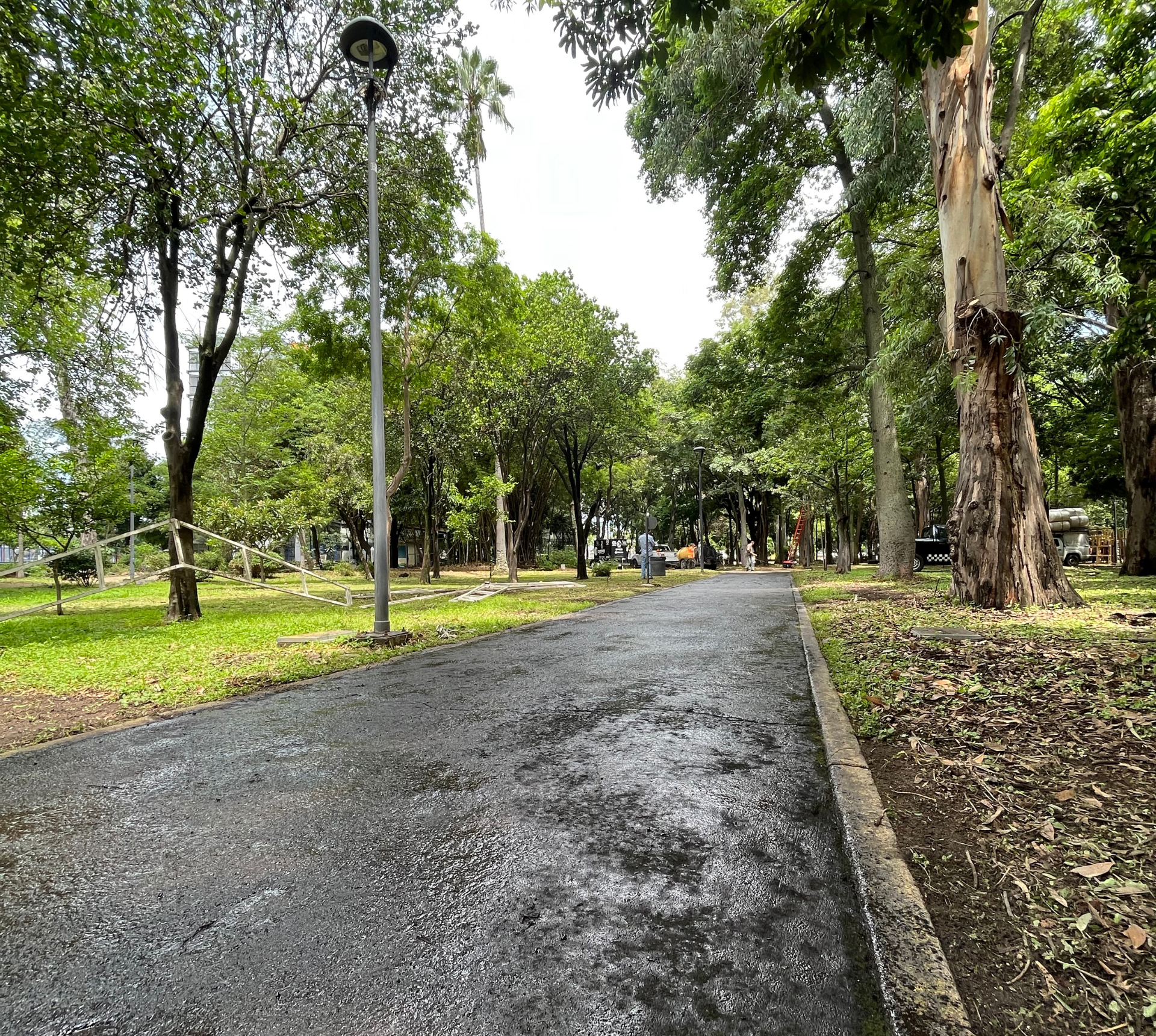 Parque Agua Azul